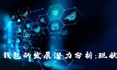 区块链钱包的发展潜力分析：现状与未来