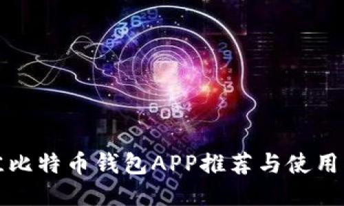 最佳比特币钱包APP推荐与使用指南