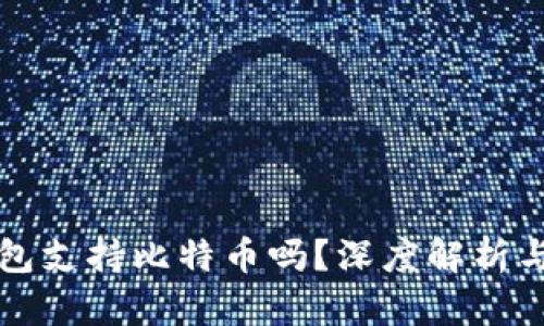 小狐狸钱包支持比特币吗？深度解析与用户指南