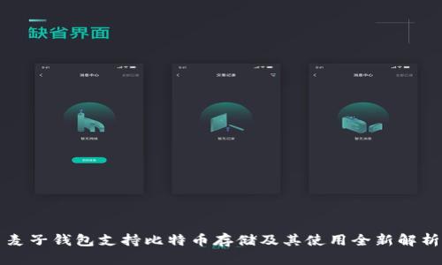 麦子钱包支持比特币存储及其使用全新解析