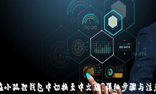 
如何在小狐狸钱包中切换至中文版：详细步骤与注意事项