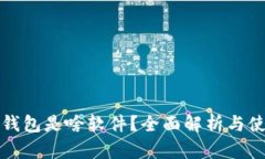 小狐狸钱包是啥软件？全面解析与使用指南