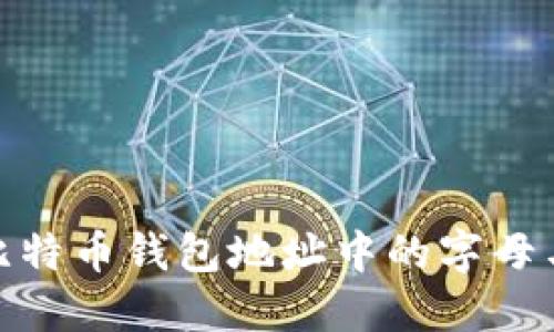 如何理解比特币钱包地址中的字母与数字组合