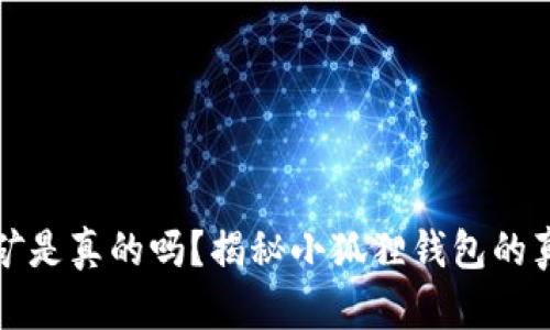 小狐狸钱包挖矿是真的吗？揭秘小狐狸钱包的真实应用与前景