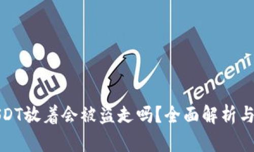 tk钱包USDT放着会被盗走吗？全面解析与安全指南