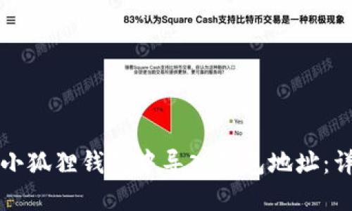 如何在小狐狸钱包中导入钱包地址：详细指南