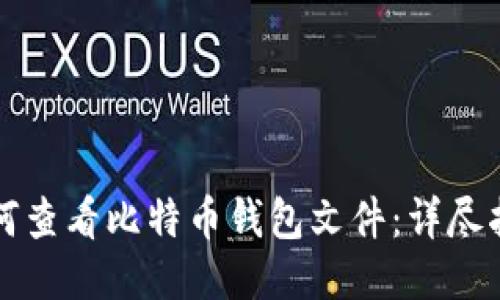 如何查看比特币钱包文件：详尽指南