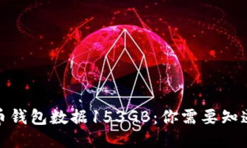 : 比特币钱包数据153GB：你需要知道的一切