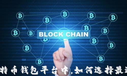 
在众多比特币钱包平台中，如何选择最适合你的？