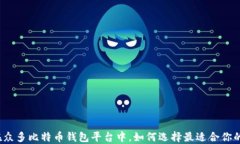 在众多比特币钱包平台中，如何选择最适合你的