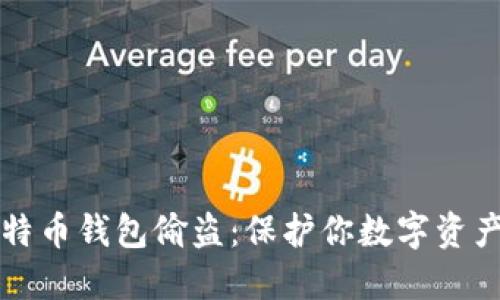 如何防范比特币钱包偷盗：保护你数字资产的终极指南