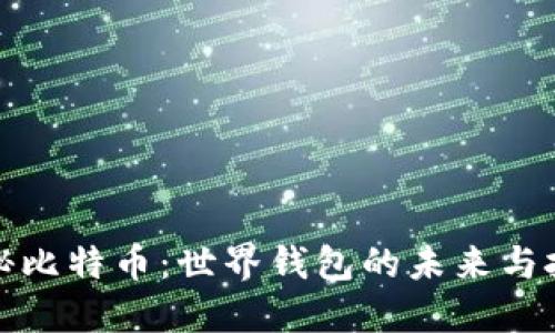 揭秘比特币：世界钱包的未来与挑战