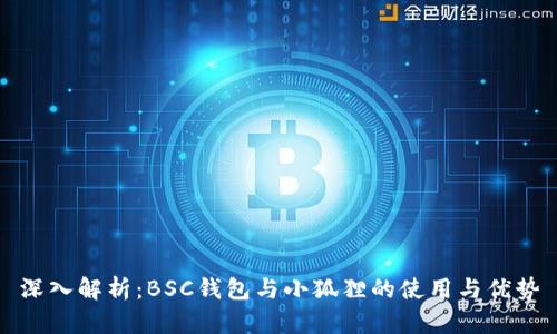 深入解析：BSC钱包与小狐狸的使用与优势