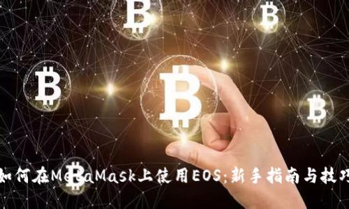 如何在MetaMask上使用EOS：新手指南与技巧