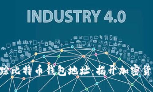 kiaoti如何追踪比特币钱包地址：揭开加密货币的神秘面纱