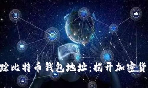 kiaoti如何追踪比特币钱包地址：揭开加密货币的神秘面纱