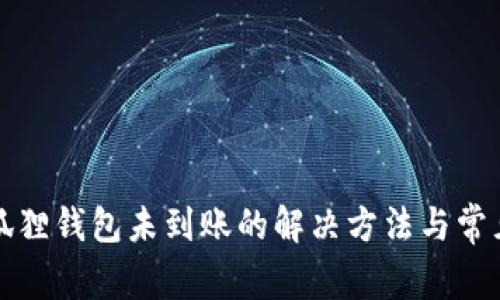 提现到小狐狸钱包未到账的解决方法与常见问题解答