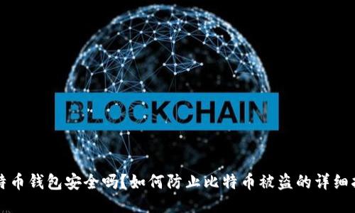 比特币钱包安全吗？如何防止比特币被盗的详细指南