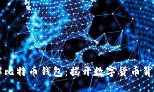 美国破解比特币钱包：揭开数字货币背后的秘密