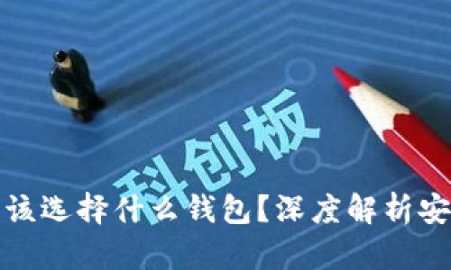 买比特币后应该选择什么钱包？深度解析安全性与便捷性