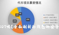 冷钱包能放USDT吗？全面剖析冷钱包的安全性与币