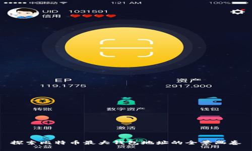 探索比特币最大钱包地址的全景画卷