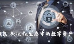 小狐狸钱包：Solana生态中的数字资产管理助手