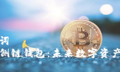 优秀和关键词  
探索比特币侧链钱包：未来数字资产的安全之路