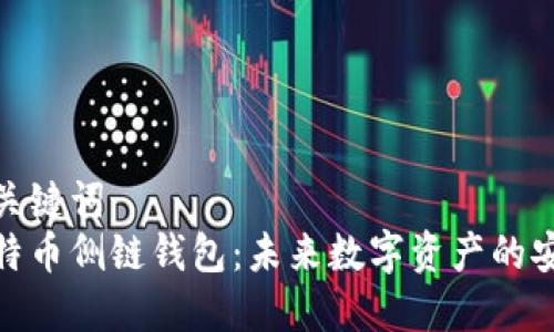 优秀和关键词  
探索比特币侧链钱包：未来数字资产的安全之路