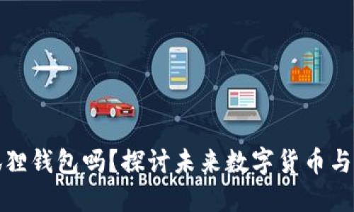 国内还能用小狐狸钱包吗？探讨未来数字货币与传统支付的融合