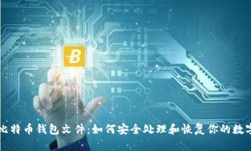 发现比特币钱包文件：如何安全处理和恢复你的数字资产