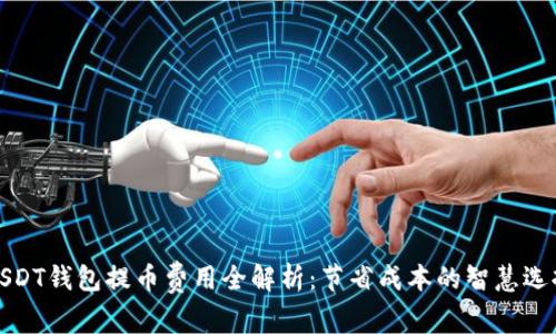 USDT钱包提币费用全解析：节省成本的智慧选择