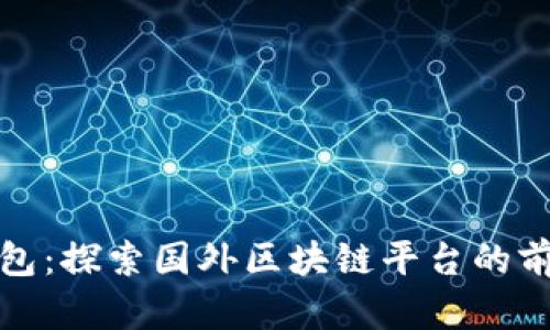 小狐狸钱包：探索国外区块链平台的前景与挑战