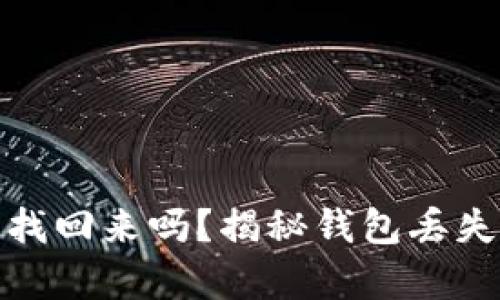 小狐狸钱包丢币能找回来吗？揭秘钱包丢失的真相与应对策略