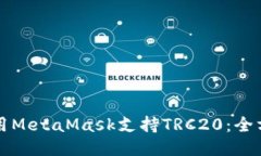 如何使用MetaMask支持TRC20：全方位指南