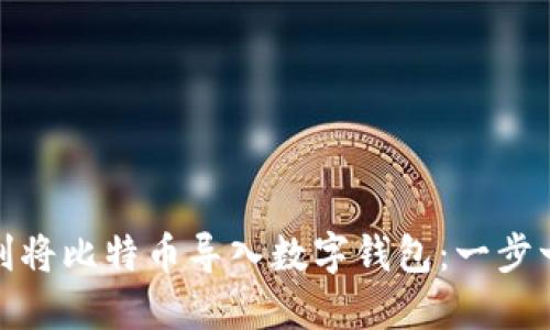 如何顺利将比特币导入数字钱包：一步一步教你