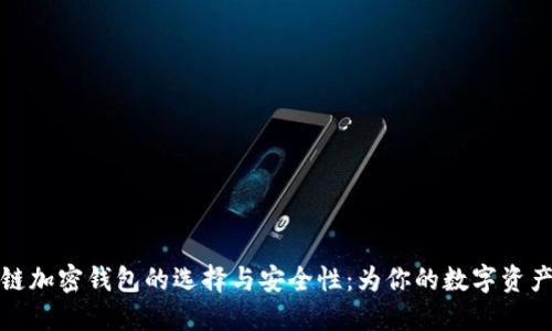 区块链加密钱包的选择与安全性：为你的数字资产护航
