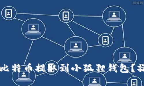 中本聪如何将比特币提取到小狐狸钱包？操作指南与技巧