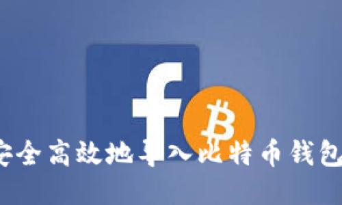 如何安全高效地导入比特币钱包私钥？