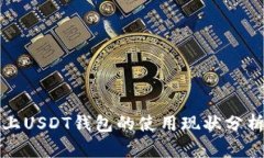 : 美国市场上USDT钱包的使用现状分析与趋势展望