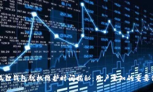 小狐狸钱包脱机维护时间揭秘：用户需知的重要信息