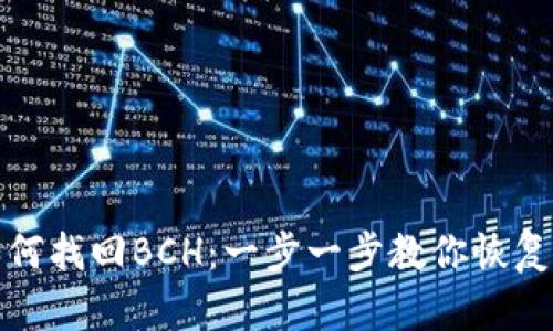 比特币核心钱包如何找回BCH：一步一步教你恢复丢失的比特币现金
