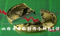 如何将比特币分配到两个钱包？详细指南