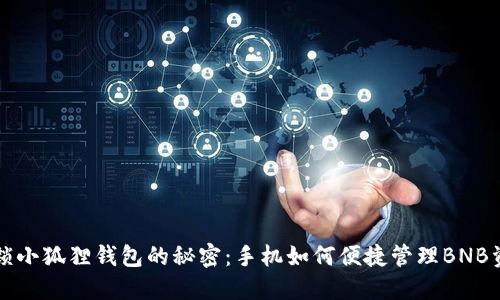 解锁小狐狸钱包的秘密：手机如何便捷管理BNB资产
