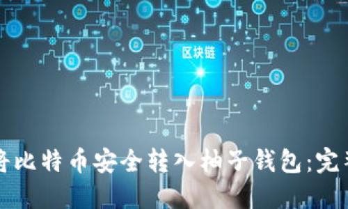 如何将比特币安全转入柚子钱包：完整指南