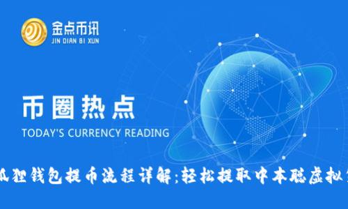 小狐狸钱包提币流程详解：轻松提取中本聪虚拟货币