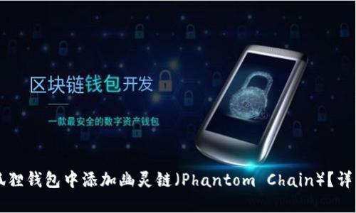 怎样在小狐狸钱包中添加幽灵链（Phantom Chain）？详细设置指南
