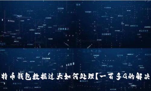 : 比特币钱包数据过大如何处理？一百多G的解决方案