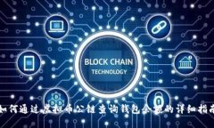 如何通过虚拟币公链查询钱包余额的详细指南
