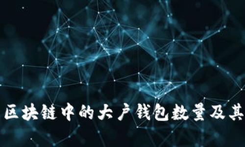 如何查看区块链中的大户钱包数量及其分析方法